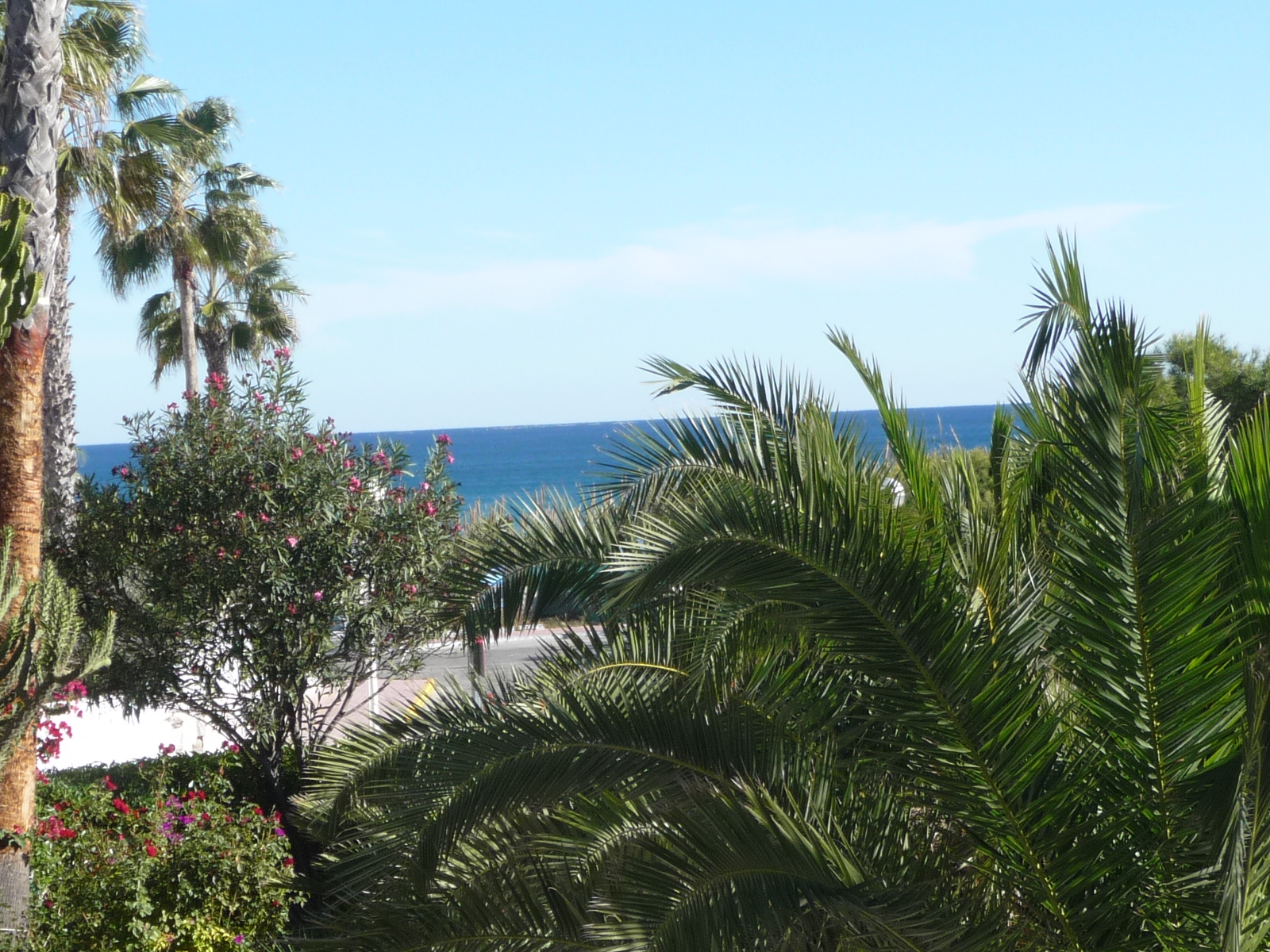 Long Term Rentals » Apartment » Guardamar » Guardamar