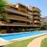 Long Term Rentals - Apartment - Punta Prima - La Entrada