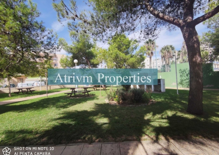 Location - Piso - Cabo Roig - Aguamarina