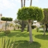 Resale - Bungalow - Orihuela Costa - Los Altos