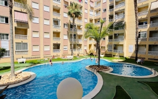 Piso - Alquiler larga estancia - Torrevieja - Torrevieja
