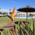 Alquiler larga estancia - Piso - Santa Pola - Gran Alacant
