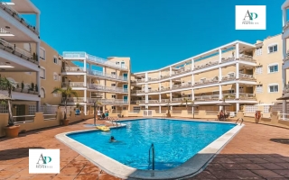 Apartamento - Alquiler larga estancia - Cabo Roig - Aguamarina