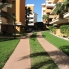 Segunda Mano - Apartamento - Orihuela Costa - Punta Prima