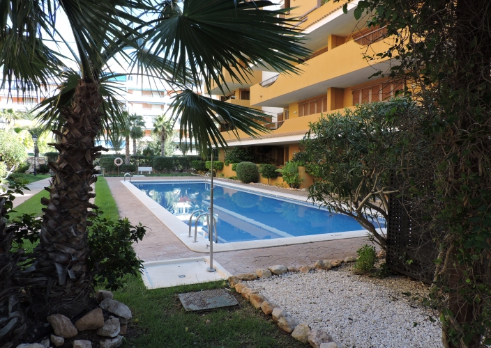 Segunda Mano - Apartamento - Orihuela Costa - Punta Prima