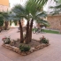 Segunda Mano - Apartamento - Orihuela Costa - Punta Prima
