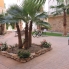 Segunda Mano - Apartamento - Orihuela Costa - Punta Prima