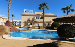 Apartment - Location - Playa Flamenca - Playa Flamenca