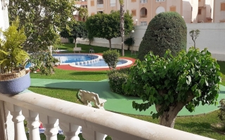 Piso - Location - Torrevieja - Torrevieja