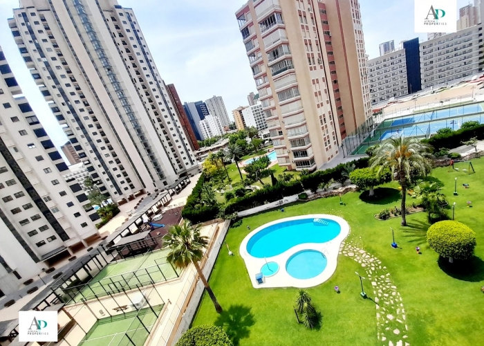 Alquiler larga estancia - Piso - Alicante - Benidorm