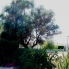 Resale - Bungalow - Torrevieja - Playa de los Locos