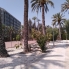 Location - Chalet - Elche