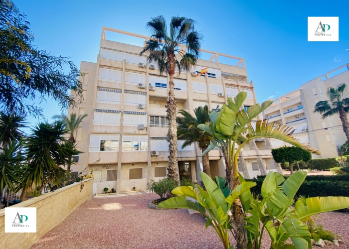 Alquiler larga estancia - Piso - Torrevieja - Torreblanca