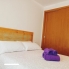 Alquiler larga estancia - Apartamento - Santa Pola
