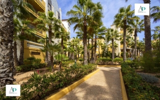Piso - Long Term Rentals - Torrevieja - Torrevieja
