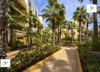 Piso - Location - Torrevieja - Torrevieja