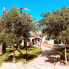 Location - Detached Villa - EL VERGER 