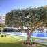 Segunda Mano - Bungalow - Torrevieja - Cabo Cervera