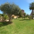Segunda Mano - Ático - Torrevieja - Torreblanca