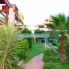 Long Term Rentals - Atico - Orihuela Costa - Playa Flamenca