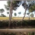 Segunda Mano - Apartamento - Campoamor Golf - Campoamor