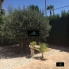Alquiler larga estancia - Chalet - Torrevieja