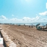Alquiler larga estancia - Apartamento - Cabo Roig - Aguamarina