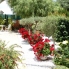 A Vendre - Chalet - La Mata