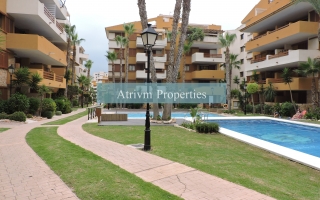 Apartamento - Alquiler larga estancia - Orihuela Costa - Punta Prima