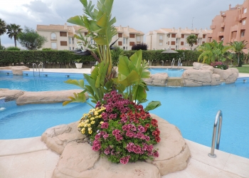 Apartamento - Alquiler larga estancia - Orihuela Costa - Cabo Roig