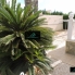 Alquiler larga estancia - Chalet - Torrevieja