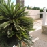 Long Term Rentals - Villa - Torrevieja - San Luis