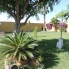 Location - Detached Villa - Dolores