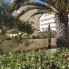 Location - Apartment - Torrevieja - La Mata