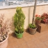 A Vendre - Penthouse - Guardamar