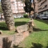 Alquiler larga estancia - Apartamento - Torrevieja - Playa del Cura