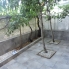 Location - Bungalow - Guardamar del Segura - Guardamar