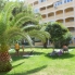 Segunda Mano - Apartamento - Torrevieja - La Mata