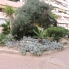 Alquiler larga estancia - Apartamento - Torrevieja