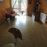 Alquiler larga estancia - Apartamento - Orihuela Costa - Cabo Roig