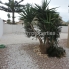 Long Term Rentals - Villa - Torrevieja