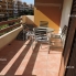 Alquiler larga estancia - Apartamento - Punta Prima - Parque Recoleta