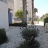 Alquiler larga estancia - Apartamento - Guardamar