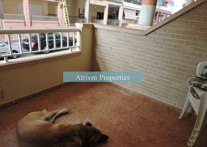 Location - Apartment - Guardamar del Segura - Guardamar