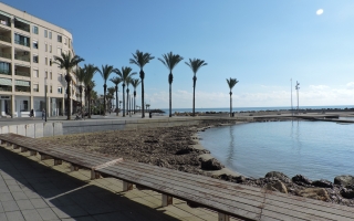 Apartamento - Alquiler larga estancia - Torrevieja - Torrevieja