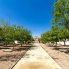 A Vendre - Townhouse - Torrevieja - Aguas Nuevas