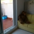 A Vendre - Duplex - Orihuela Costa - La Zenia