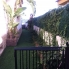 A Vendre - Townhouse - San Fulgencio - La Marina