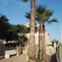 Long Term Rentals - Apartment - Santa Pola