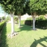 Segunda Mano - Bungalow - Orihuela Costa - Los Altos
